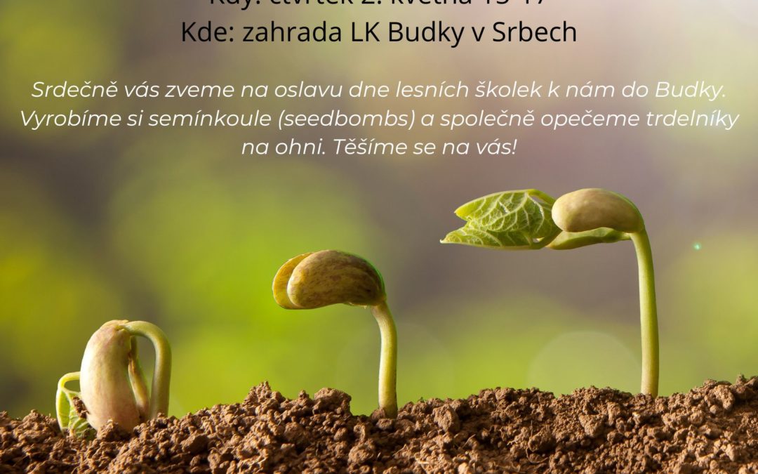 Mezinárodní Den lesních školek 2024